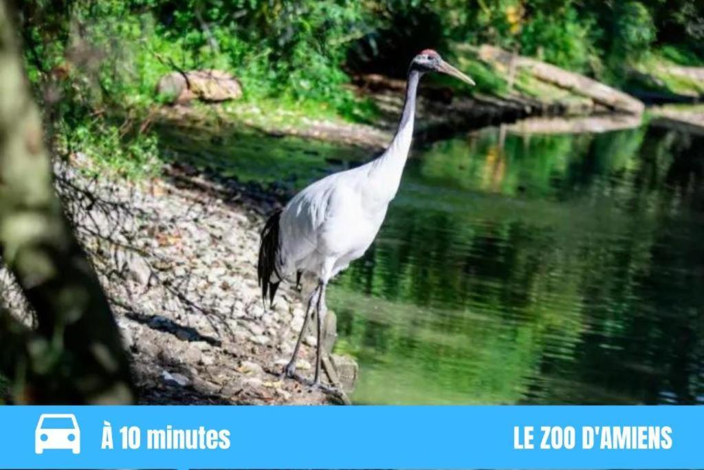 Grand Studio Amiens Gare Tout Confort Wifi Netflix 2Pers Extérieur photo